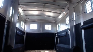 Hardworkertn  13-08-2021 video bigbooty